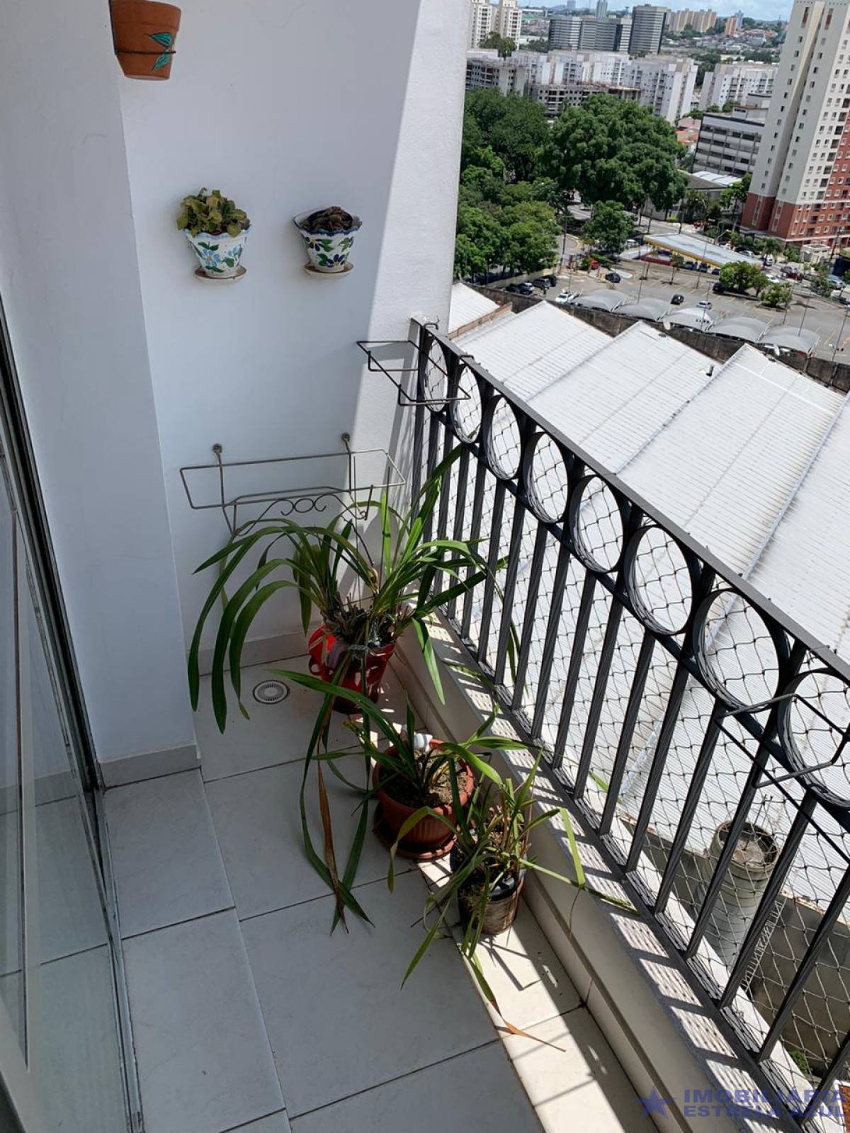 Apartamento no bairro Santo Amaro 